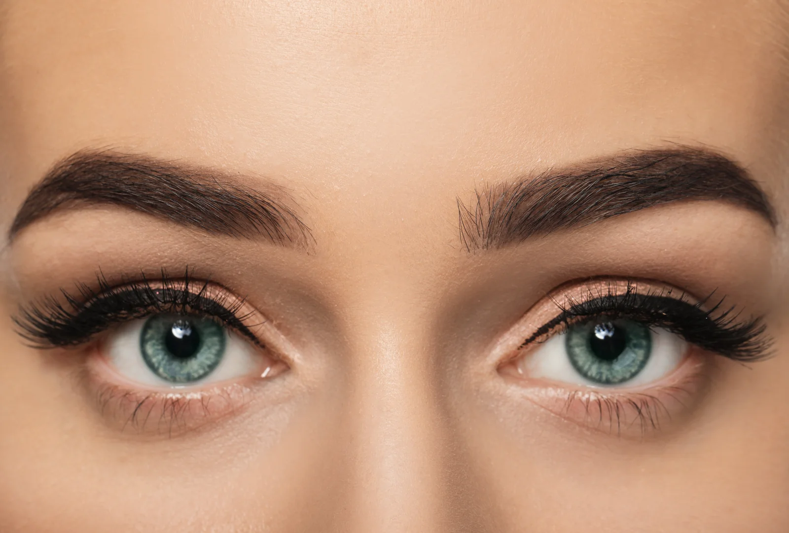 Natural, full, hair-like eyebrows after microblading at a Thonotosassa, FL medical spa.
